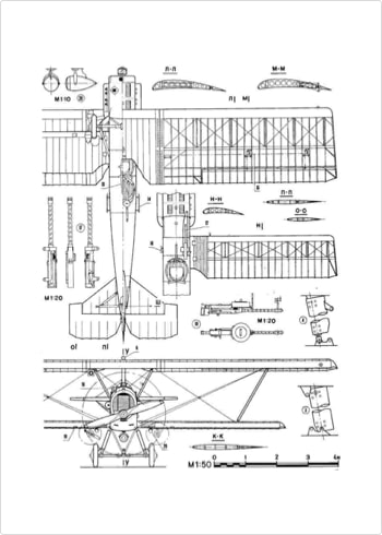 golden_wings_potez_25_3
