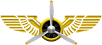 logo_golden_wings